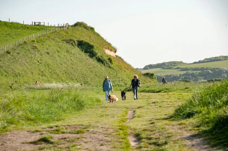 Two people walking their dogs along a grassy path between green coastal hills